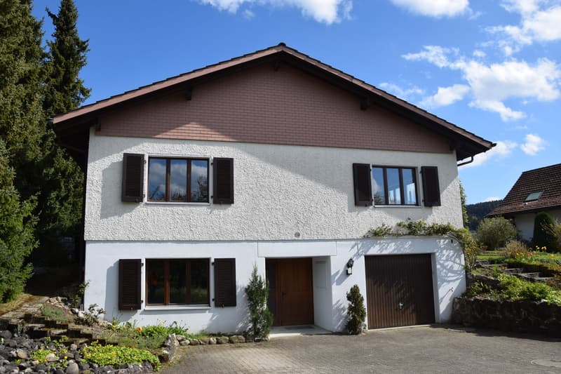 Aussenansicht EFH