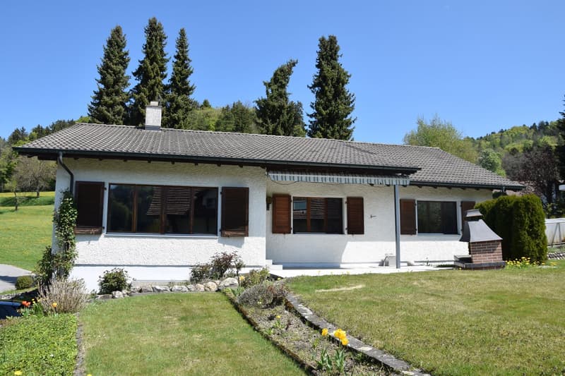 Aussenansicht EFH