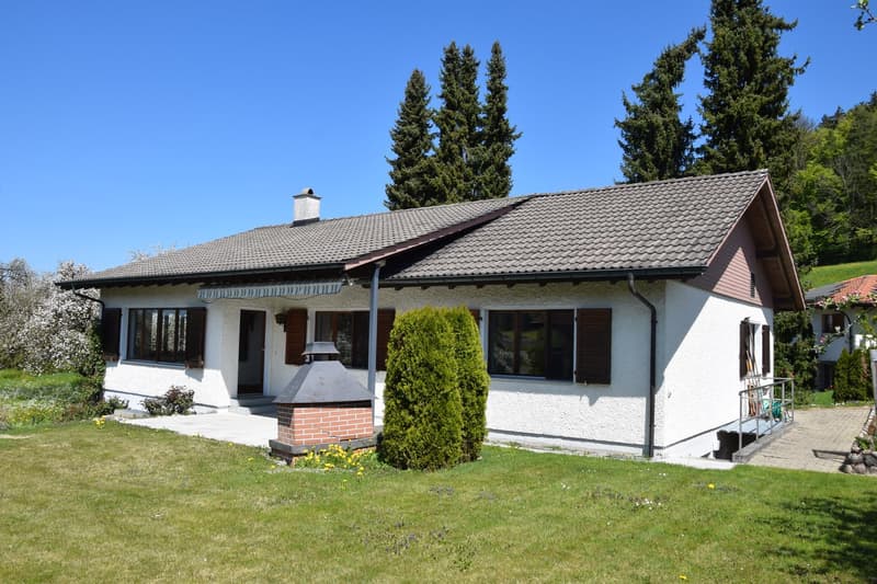 Aussenansicht EFH