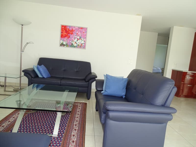 modern living room with two couches, glass table, carpet, floor lamp, picture on wall