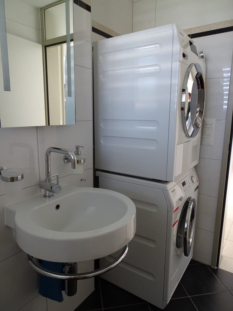 washer and dryer stacked, modern sink, mirror