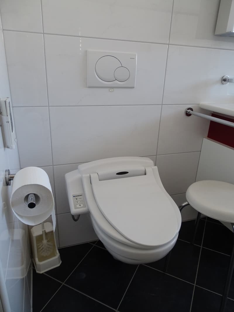 modern white bathroom, Geberit toilet, white stool, white tiles, toilet paper holder, toilet brush