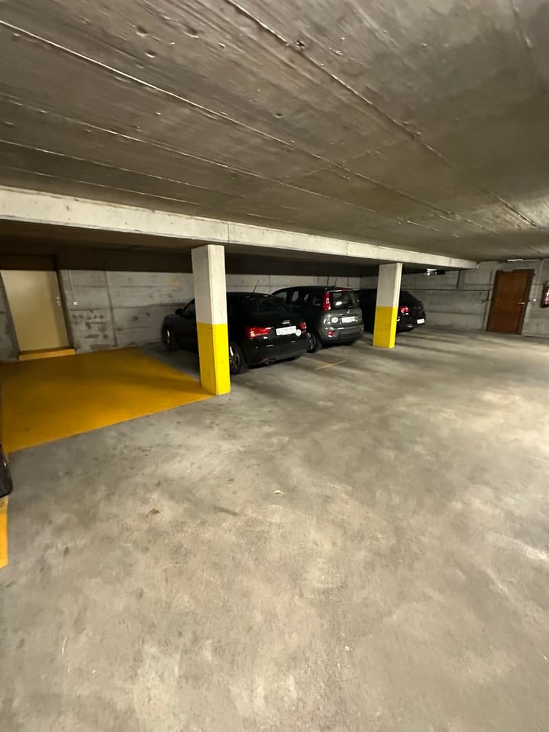 Geräumige 4.5-Zimmer Wohnung mit Riesengalerie (80m2) mit Panoramablick in Zurzach (17)