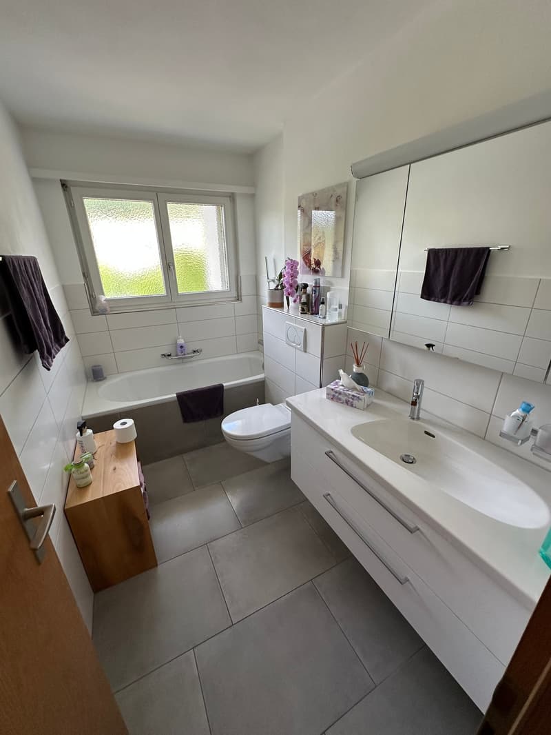 Geräumige 4.5-Zimmer Wohnung mit Riesengalerie (80m2) mit Panoramablick in Zurzach (11)