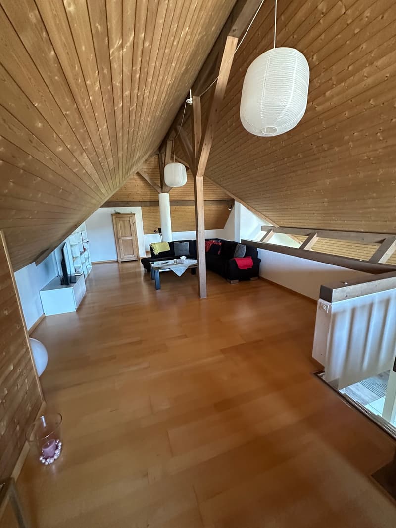 Geräumige 4.5-Zimmer Wohnung mit Riesengalerie (80m2) mit Panoramablick in Zurzach (15)