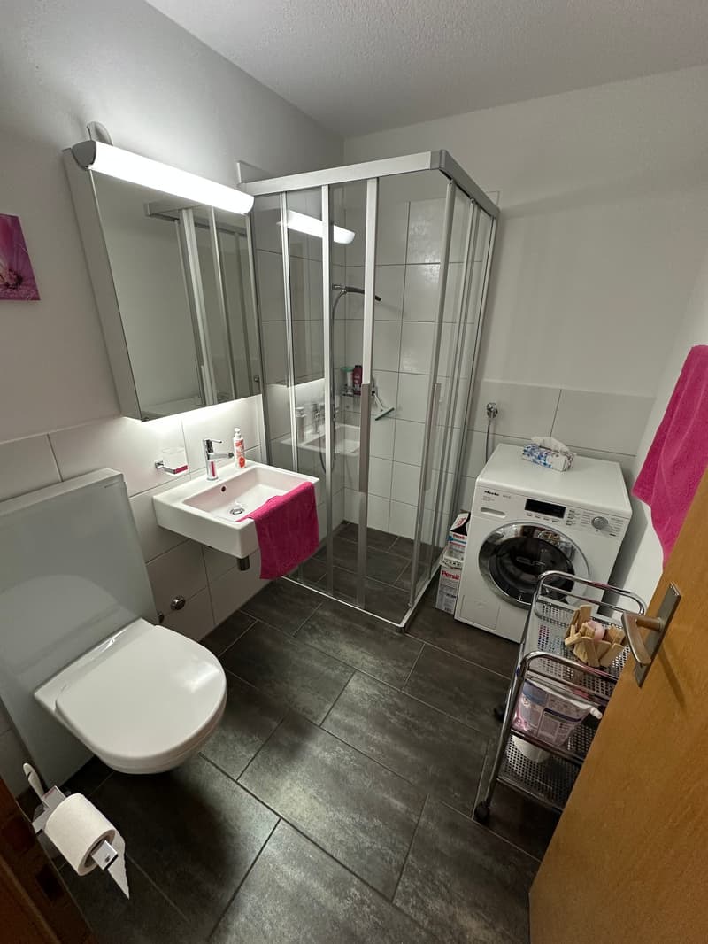 Geräumige 4.5-Zimmer Wohnung mit Riesengalerie (80m2) mit Panoramablick in Zurzach (12)