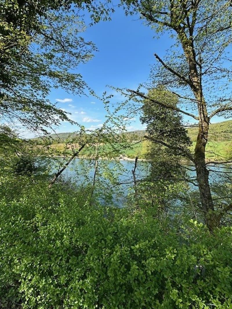 Aussicht Rheinabwärts, vis a vis ist Deutschland