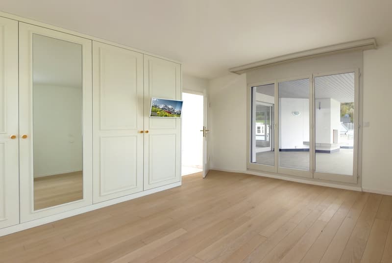 Hochwertige 6-Zimmer-Attikawohnung mit Panorama-Ausblick (6)