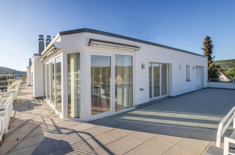 Hochwertige 6-Zimmer-Attikawohnung mit Panorama-Ausblick (11)