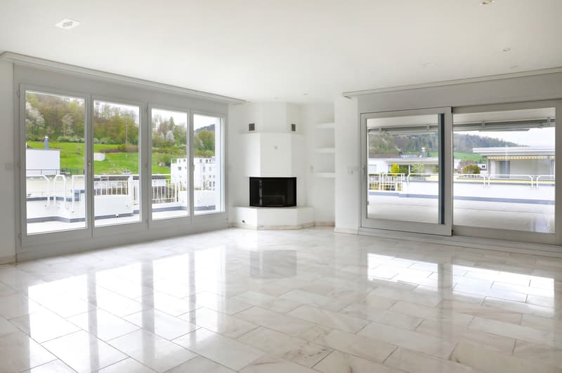 Hochwertige 6-Zimmer-Attikawohnung mit Panorama-Ausblick (1)