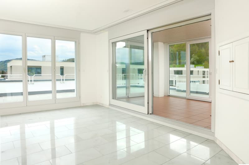 Hochwertige 6-Zimmer-Attikawohnung mit Panorama-Ausblick (5)
