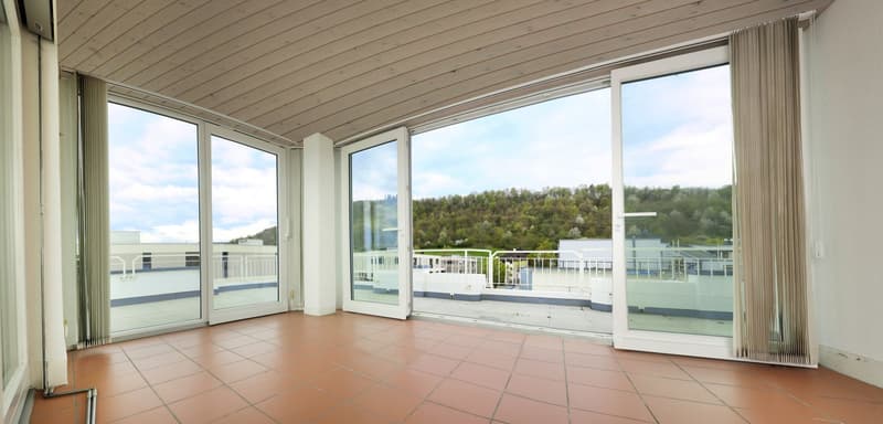 Hochwertige 6-Zimmer-Attikawohnung mit Panorama-Ausblick (2)