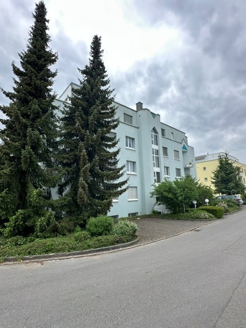 Hochwertige 6-Zimmer-Attikawohnung mit Panorama-Ausblick (20)