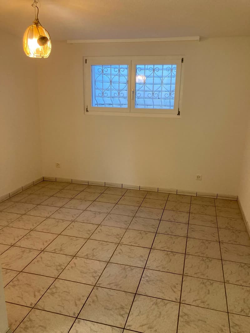 Renovierte & charmante 2.5-Zimmer-Einliegerwohnung an ruhiger Lage (7)