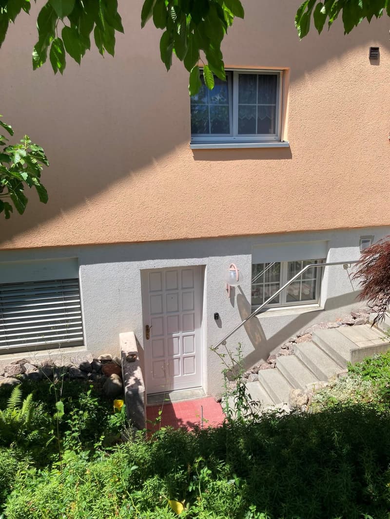 Renovierte & charmante 2.5-Zimmer-Einliegerwohnung an ruhiger Lage (1)