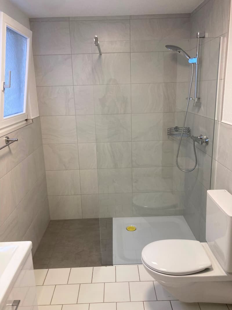 Renovierte & charmante 2.5-Zimmer-Einliegerwohnung an ruhiger Lage (4)