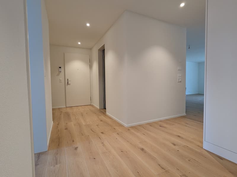 Moderne 3.5-Zimmer-Neubau-Wohnung in Bünzen (12)