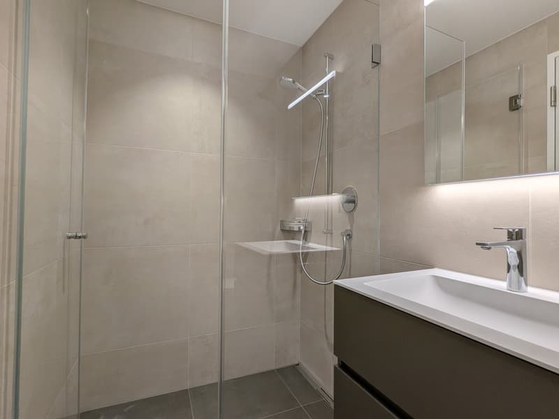 Moderne 3.5-Zimmer-Neubau-Wohnung in Bünzen (13)
