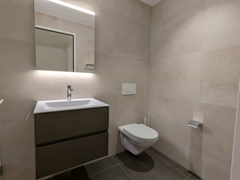 Moderne 3.5-Zimmer-Neubau-Wohnung in Bünzen (14)