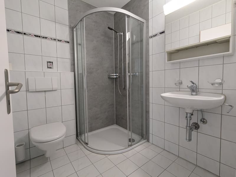 Geräumige 4.5-Zimmer-Wohnung im Erdgeschoss mit zwei Wintergärten (12)