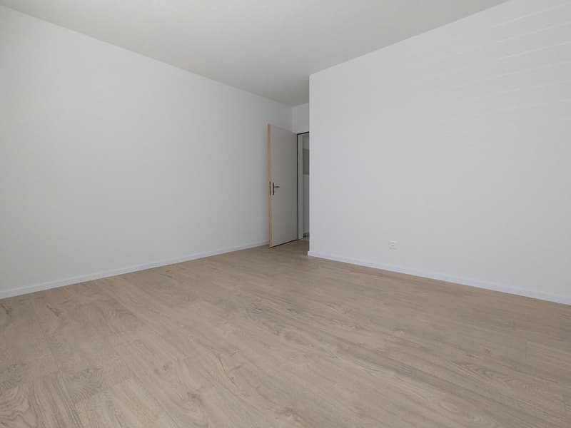 Geräumige 4.5-Zimmer-Wohnung im Erdgeschoss mit zwei Wintergärten (13)