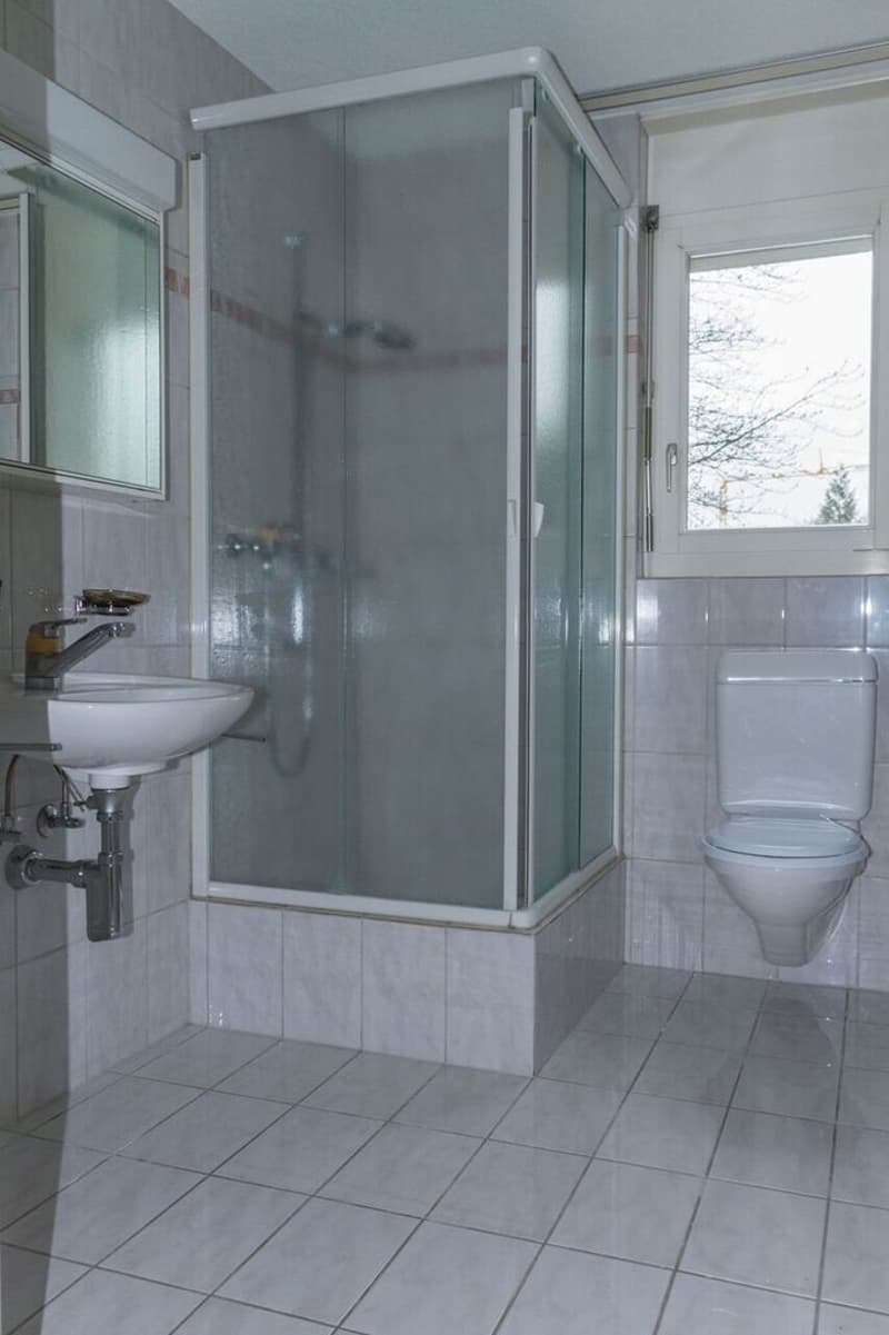 Helle 4.5-Zimmer-Wohnung mit Balkon und Cheminée in Boswil (6)
