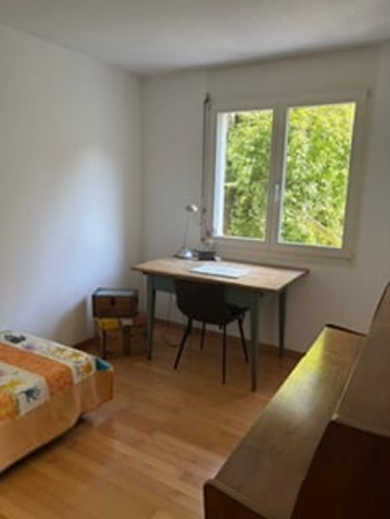 Wohnen mit Weitblick: Grosszügiges 5.5-Zimmer-Doppel-Einfamilienhaus mit Garten (10)
