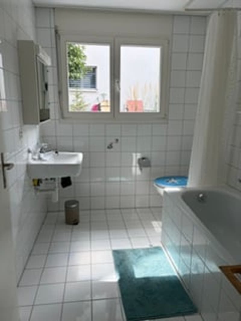 Wohnen mit Weitblick: Grosszügiges 5.5-Zimmer-Doppel-Einfamilienhaus mit Garten (9)