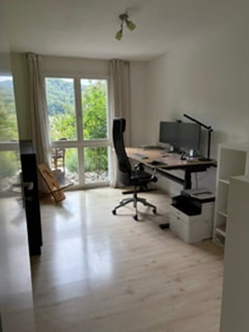 Wohnen mit Weitblick: Grosszügiges 5.5-Zimmer-Doppel-Einfamilienhaus mit Garten (8)