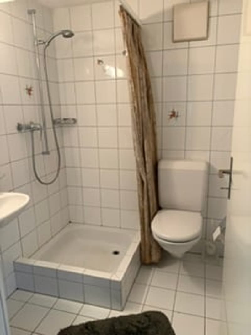 Wohnen mit Weitblick: Grosszügiges 5.5-Zimmer-Doppel-Einfamilienhaus mit Garten (7)