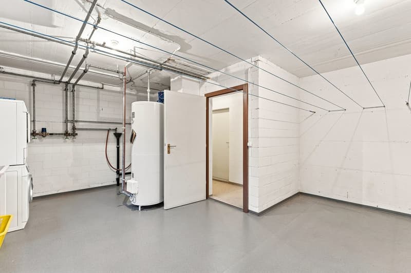 Grosszügiges 3.5-Zimmer-Einfamilienhaus in Boswil mit Einliegerwohnung (14)