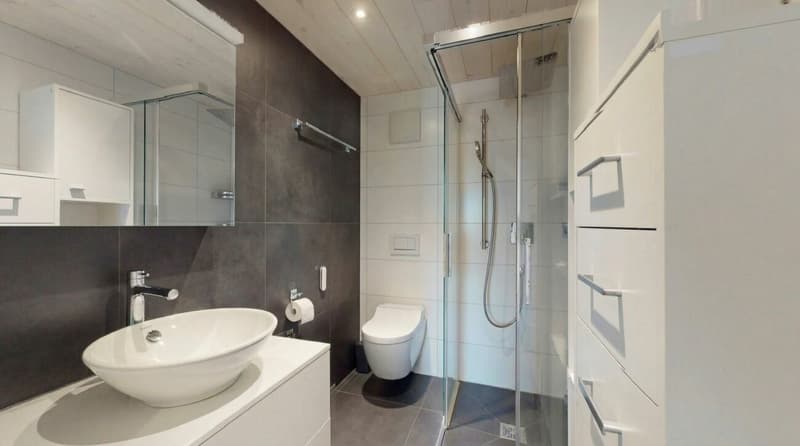 Moderne Dachgeschosswohnung mit spektakulärer Aussicht (8)