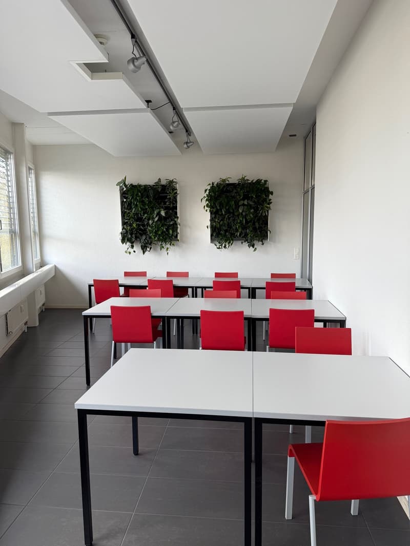 modern meeting room with white walls, wooden floor, red chairs, metal framed tables, hanging green plant, ceiling lights