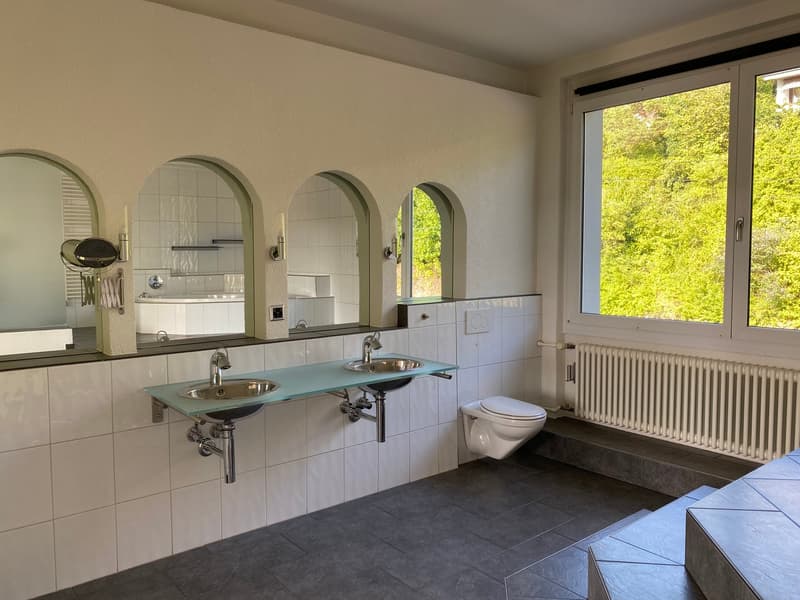 Exklusive Loft-Wohnung mit Panoramablick (7)