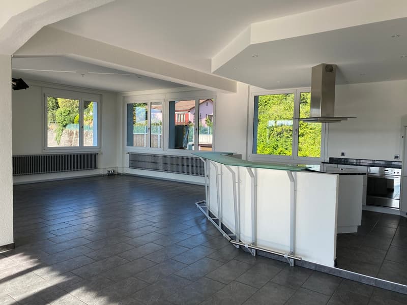Exklusive Loft-Wohnung mit Panoramablick (5)