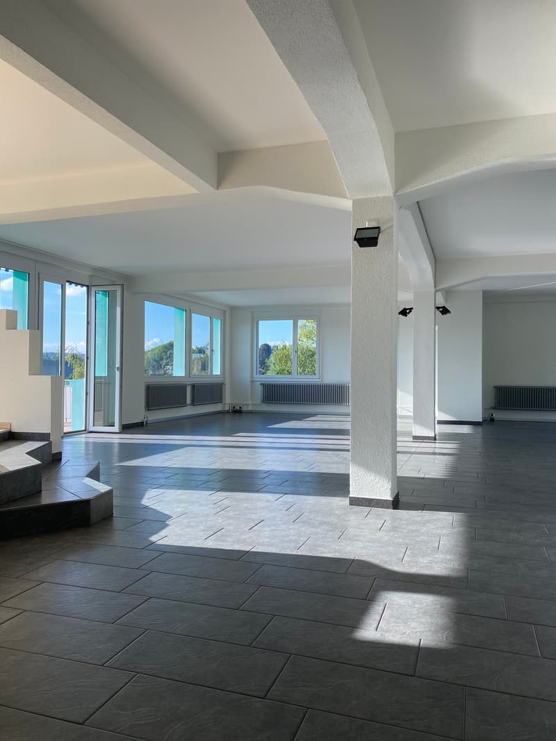 Exklusive Loft-Wohnung mit Panoramablick (3)
