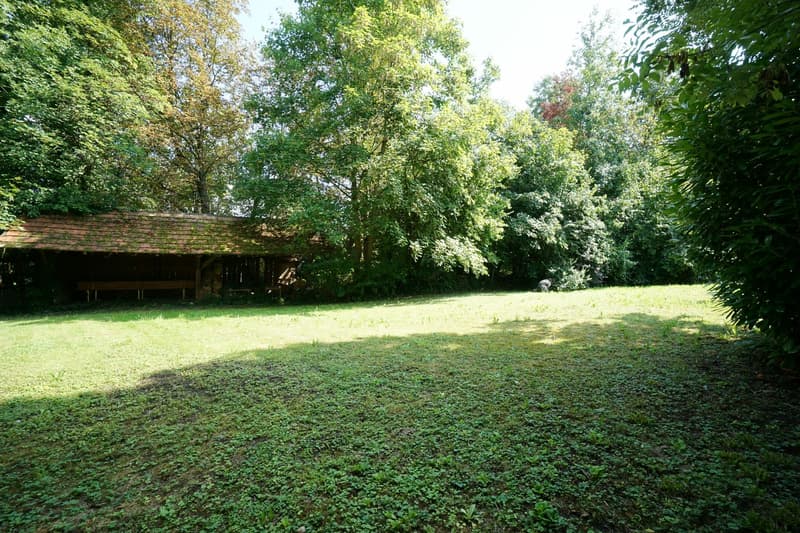 open grassy area, trees, wooden shed, bench