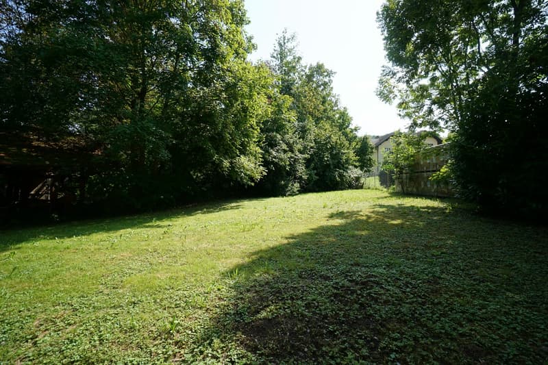 large grassy field, several trees, shadow on the ground, wooden house at the back