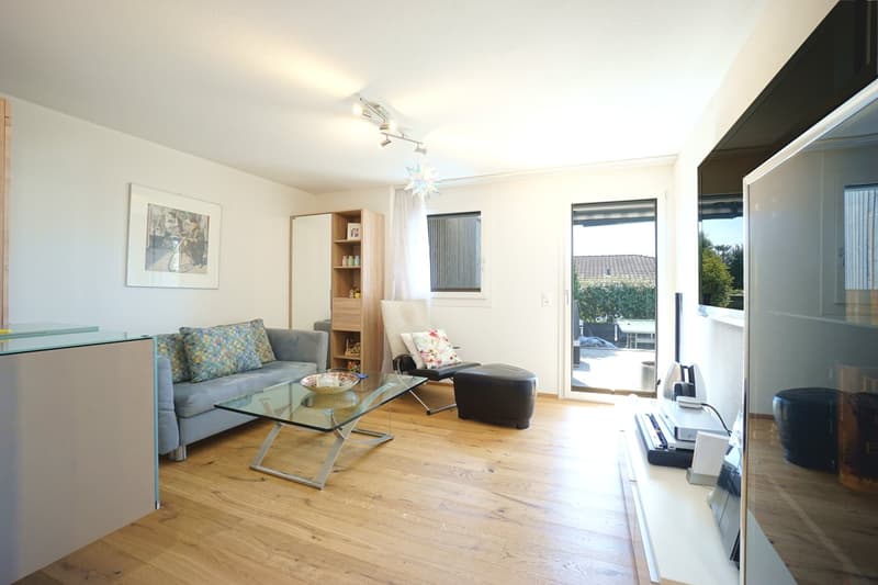 living room with couch, glass table, chair, shelf, picture, sliding glass door, TV, entertainment center