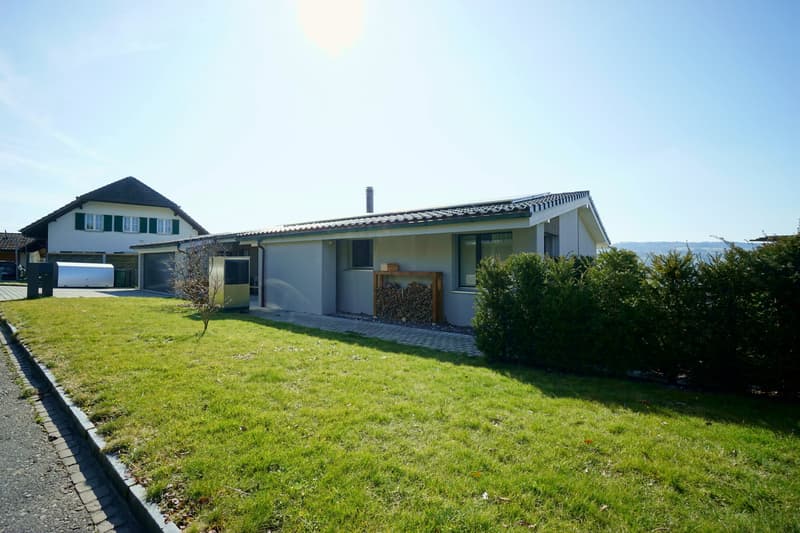Modern house, white exterior, green roof, large windows, driveway, well-maintained lawn, storage shed, wood storage