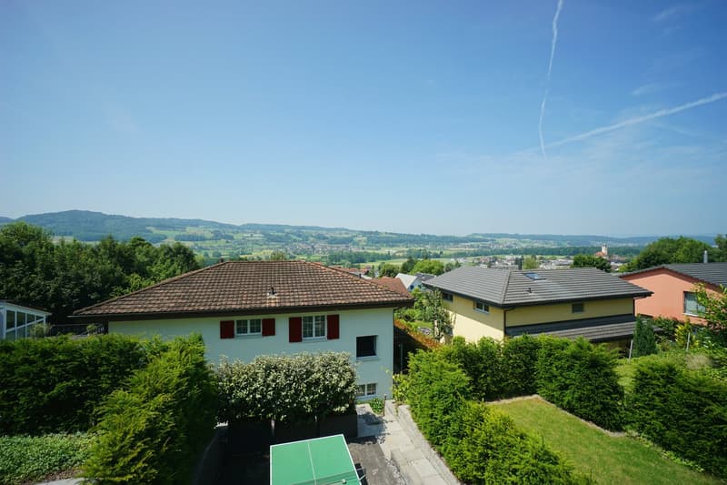 House with brown roof, white walls, red shutters, surrounded by greenery, with a table tennis table in the foreground
