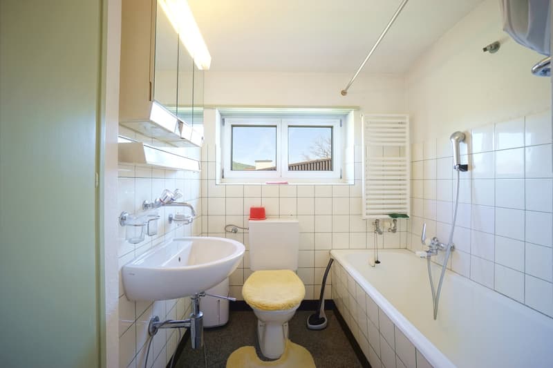 Idyllisches 5.5-Zimmer-Einfamilienhaus mit gepflegtem Umschwung, Biotop und Garage (11)
