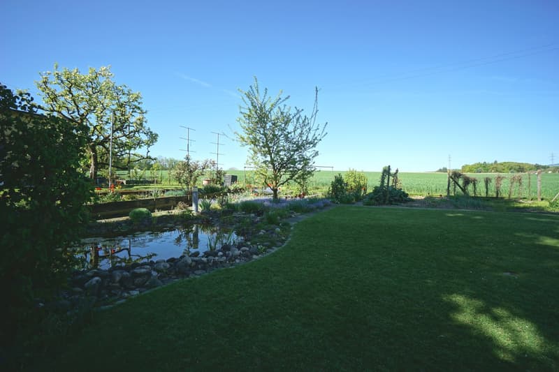 Idyllisches 5.5-Zimmer-Einfamilienhaus mit gepflegtem Umschwung, Biotop und Garage (3)