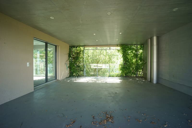 Grosszügige 4.5-Zimmerwohnung im Zentrum von Villmergen mit grosser Terrasse (17)
