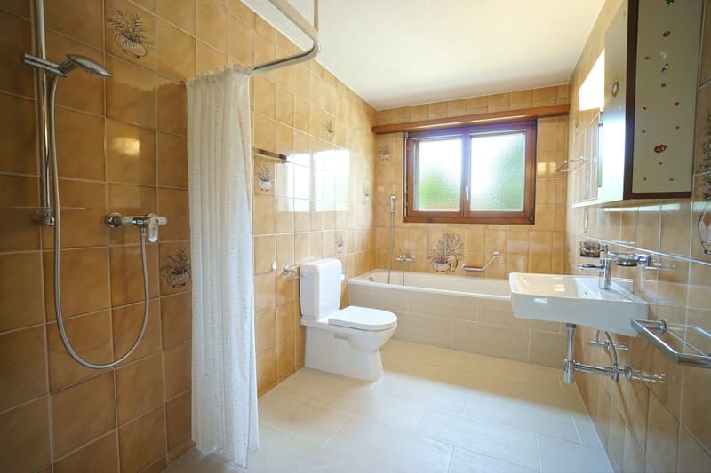 Freistehendes 5.5-Zimmer Einfamilienhaus mit vielseitigem Um- und Ausbaupotenzial (10)