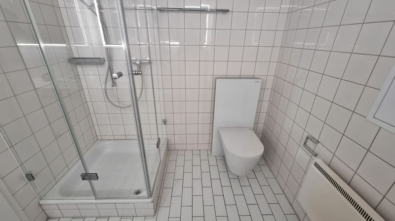 Rustic 2.5-room apartment in the old town of Solothurn (7)