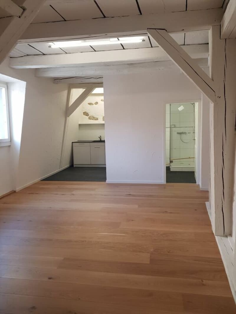 Schöne Altstadtwohnung (1)