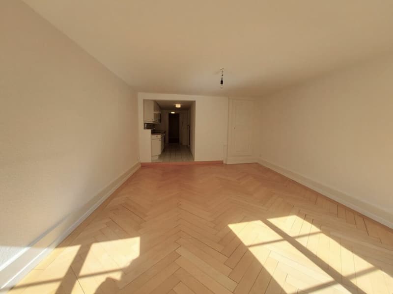 Altbauwohnung in der Altstadt (3)
