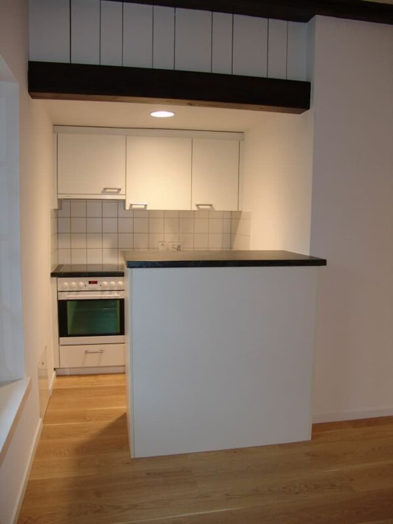 Wohnung mit Sicht auf die St. Ursenkathedrale (2)
