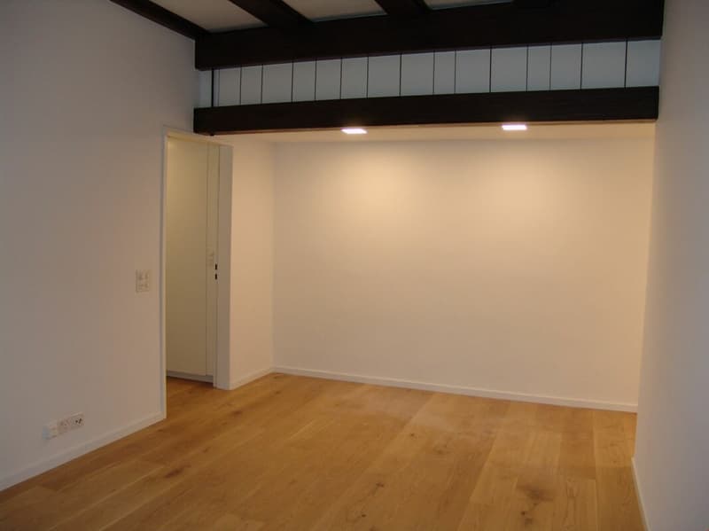 Wohnung mit Sicht auf die St. Ursenkathedrale (5)